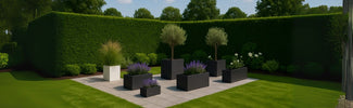 Welke planten passen in een strakke (moderne) tuin?