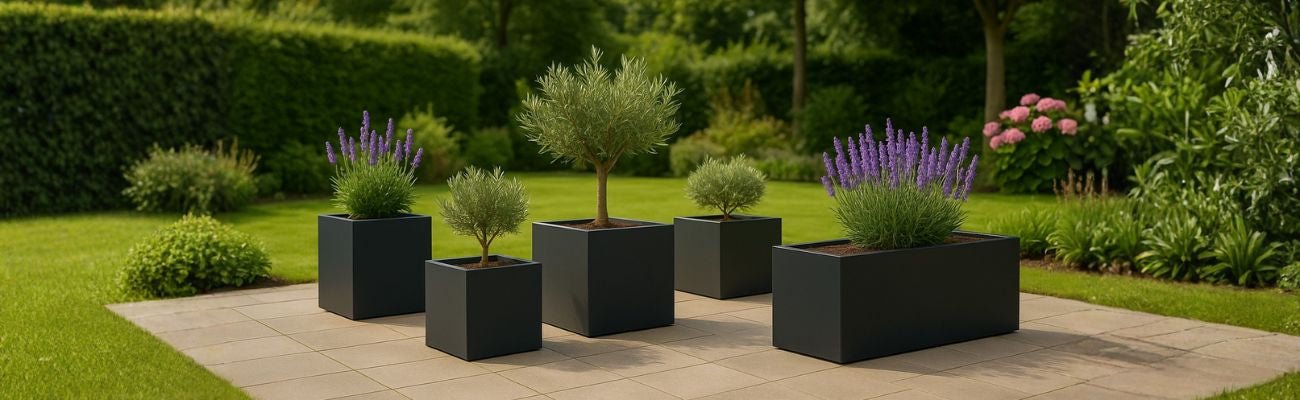 Hoe kiest u de juiste plantenbakmaat voor uw tuin of terras? - Doika