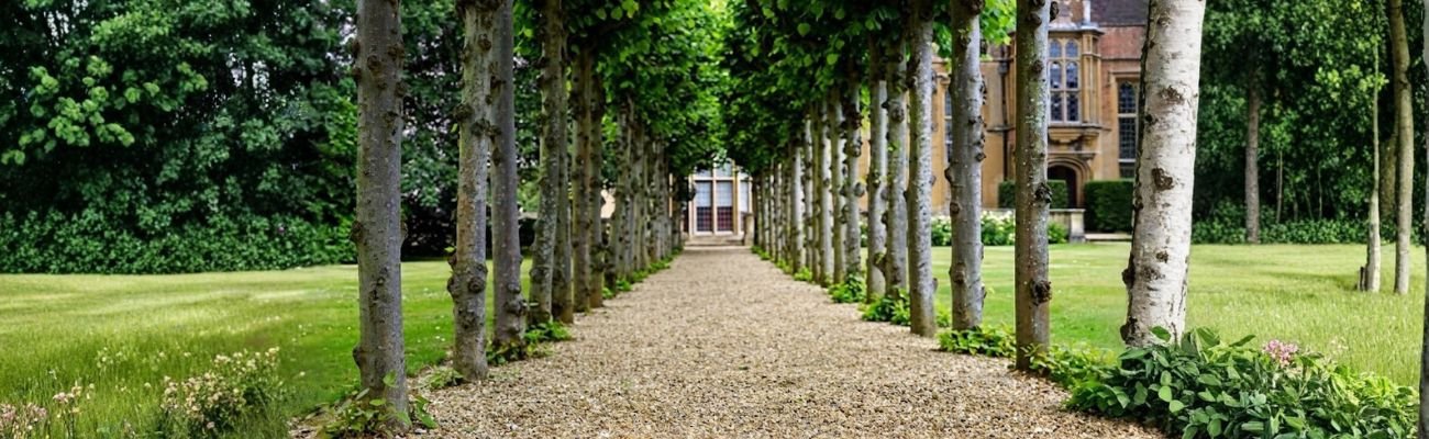 Ontdek de beste plantenkeuzes voor jouw tuin - Doika