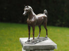 Bronzen beeld Arabisch paard 30x9x33cm