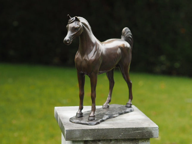 Bronzen beeld Arabisch paard 30x9x33cm