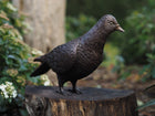 Bronzen beeld Duif 18x9x22cm