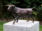 Bronzen beeld Stier 27x17x49cm