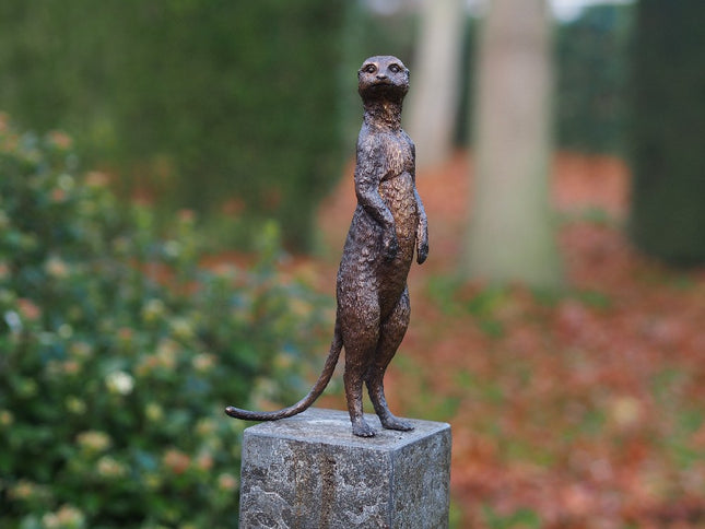 Bronzen beeld Stokstaartje 28x9x14cm