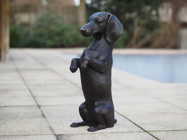 Bronzen beeld Zittende Tekkel 52x16x24cm