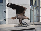 Bronzen beeld Arend op boomstam 91x78x120cm