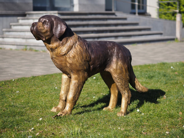 Bronzen beeld Sint Bernardus hond 96x40x140cm