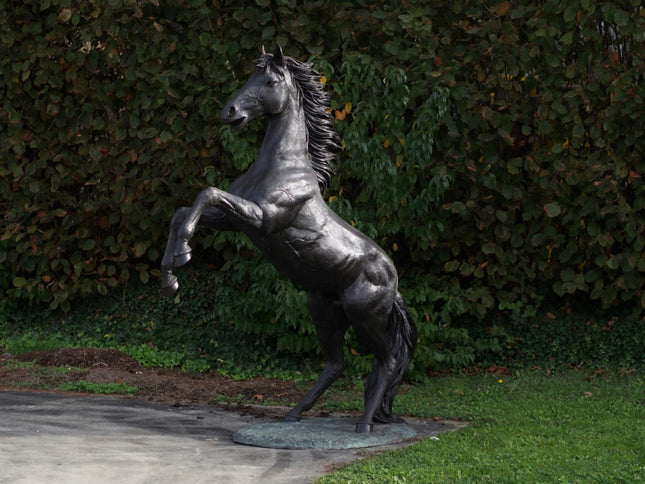 Bronzen beeld Steigerend paard 227x92x185cm 165kg
