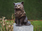 Bronzen beeld Perzische kat 29x21x36cm