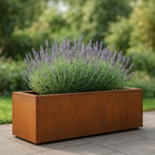Geroba Artesa cortenstalen plantenbak rechthoek 200x50x60cm 69kg