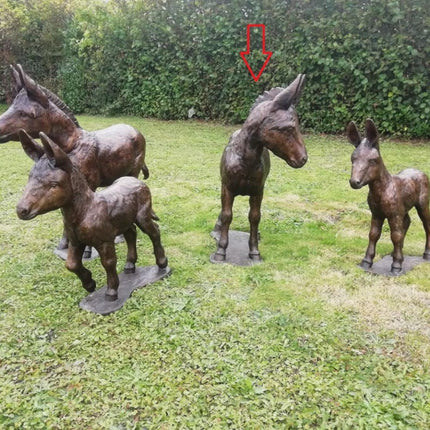 Bronzen beeld Ezel 120x40x90cm 55kg