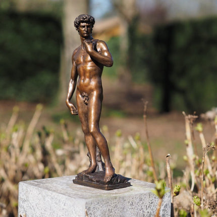 Bronzen beeld David van Michelangelo 40cm 40x0x0cm - Doika - Bronzen beeld - Doika - 5410807015292 - BS1529B