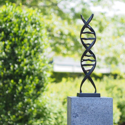 Bronzen beeld DNA sculptuur 53x13x13cm - Doika - Bronzen beeld - Doika - 5410807027349 - AN2734BRW-BI
