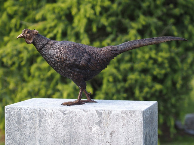 Bronzen beeld Fazant 34x18x75cm - Doika - Bronzen beeld - Doika - 5410807013298 - AN1329BR-B