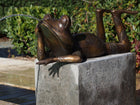 Bronzen beeld Liggende kikker groot 28x37x90cm 13kg - Doika - Bronzen beeld - Doika - 5410807611012 - PB61101