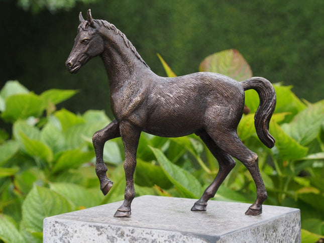 Bronzen beeld Paard 27x6x29cm - Doika - Bronzen beeld - Doika - 5410807013557 - BS1355B