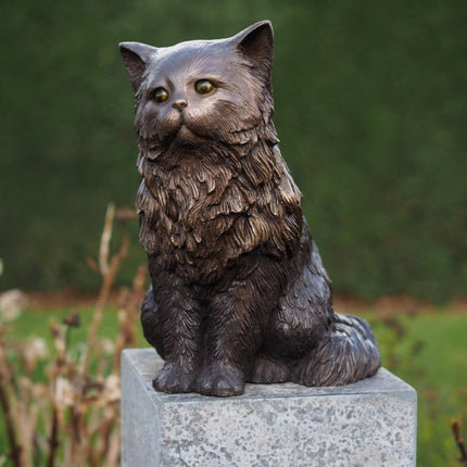 Bronzen beeld Perzische kat 29x21x36cm - Doika - Bronzen beeld - Doika - 5410807014592 - BS1459B