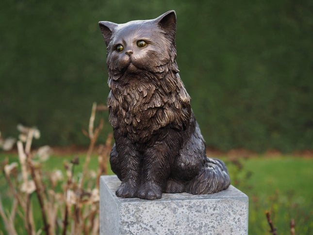 Bronzen beeld Perzische kat 29x21x36cm - Doika - Bronzen beeld - Doika - 5410807014592 - BS1459B