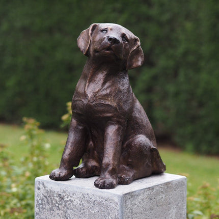 Bronzen beeld Puppy 35x19x25cm - Doika - Bronzen beeld - Doika - 5410807473184 - AN4731BR-B