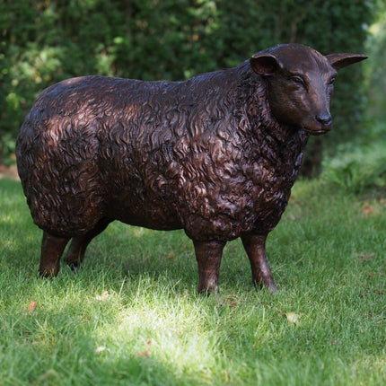 Bronzen beeld Schaap 59x30x80cm - Doika - Bronzen beeld - Doika - 5410807730157 - B73015