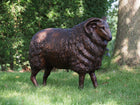 Bronzen beeld Schaap 61x30x75cm - Doika - Bronzen beeld - Doika - 5410807730133 - B73013