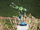 Bronzen beeld Springende kikker (naar beneden) 57x34x55cm - Doika - Bronzen beeld - Doika - 5410807505380 - B50538