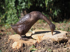 Bronzen beeld Staande eend 56x23x32cm - Doika - Bronzen beeld - Doika - 5410807015162 - BS1516B