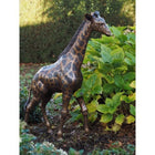 Thermobrass Kleine giraf 104x24x68cm (HxBxL) - Doika BV - Bronzen beeld - Thermobrass - 5410807086018 - B860-1